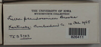 Image Associated With the Occurence